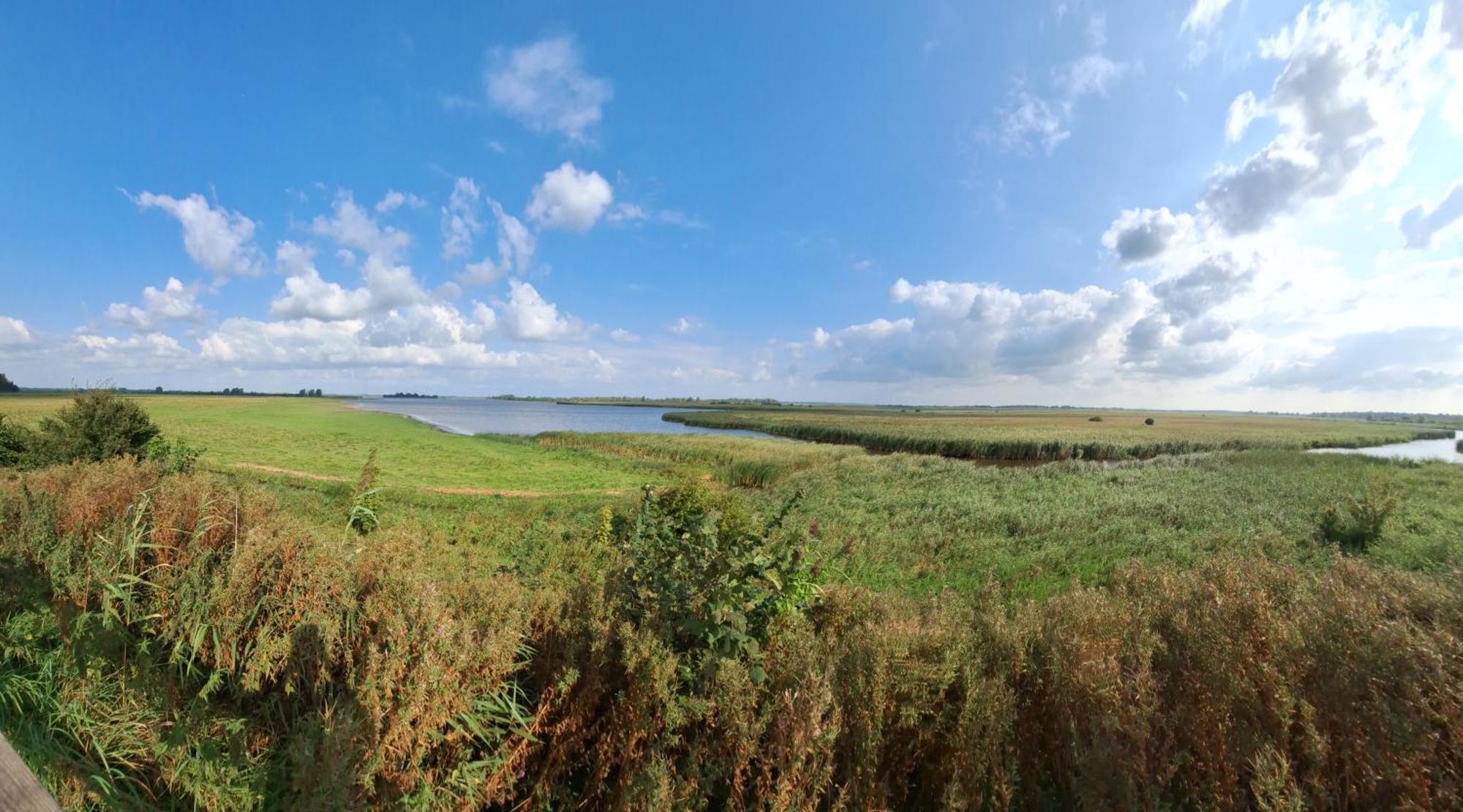 Enjoy Natur, See Und Meer Chalet Lauwersoog- 1-6 Pers- 3 Schlafzimmer, 2 Badezimmer- Fruehes Einchecken Ab 14 Uhr Eksteriør billede